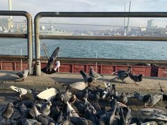 -符拉迪沃斯托克火车站