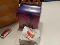 -麦当劳(天鹿南路分店)