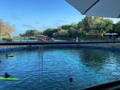 -天津湾西餐厅(三亚海棠湾洲际度假酒店)