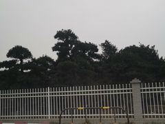 -万顷园艺世界