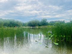 -太阳宫公园