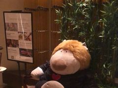 -深圳星河丽思卡尔顿酒店