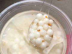 -潘玉麟糖粥