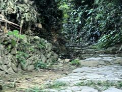 -杨家堂村