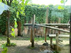 -杭州野生动物世界