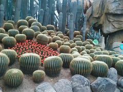 -南山植物园