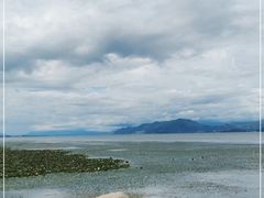 -洱海月湿地公园