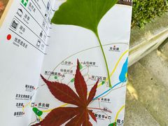 -长屿硐天八仙岩景区