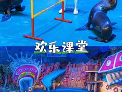 -烟台海昌鲸鲨海洋公园