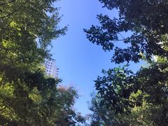 -星海广场