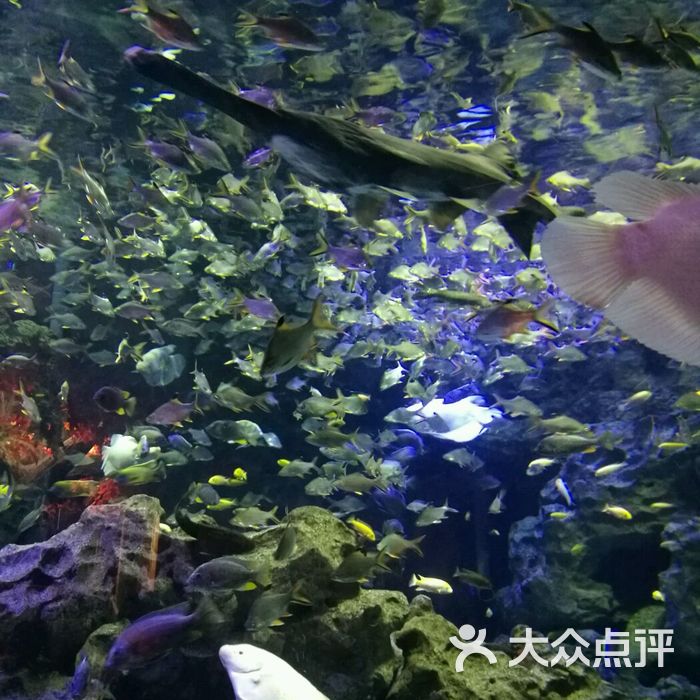 海濱城浩海立方海洋館