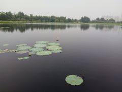 -三圣花乡旅游区