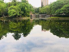 -晓港公园