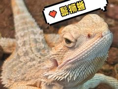 -时尚天河商业广场