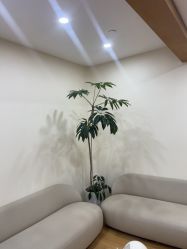 -HEYAN荷妍专业脱毛连锁机构