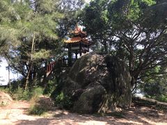 -宋井风景区
