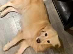 -LA CREPERIE BRETONNE布列塔尼法式餐厅(天童北路店)