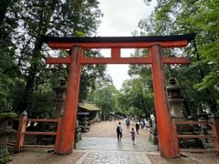 -奈良公园
