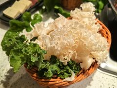 -新辣道鱼火锅(龙旗广场店)