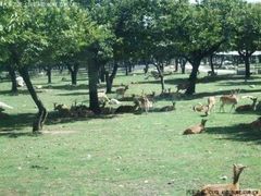 -西安秦岭野生动物园