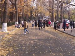 -八大关景区