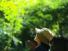-昆明青龙峡风景区