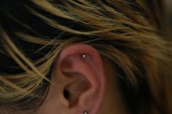 点击看大图 -众刺纹画·纹身·穿孔饰品·海娜定制