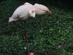 -沈阳森林动物园