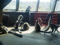 -鄂尔多斯野生动物园