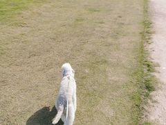 -杭州城北体育公园