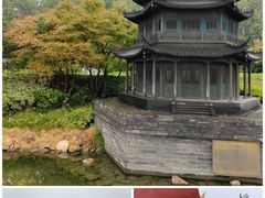 -岳阳楼景区