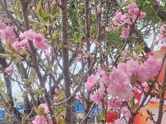 -观澜湖生态运动公社