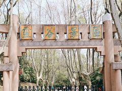 -灵谷景区