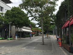 -布里斯班南岸公园