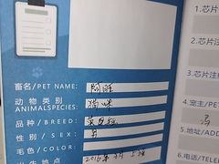 -申普宠物医院·心脏介入·心血管微创(总院)