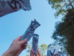 -火炉山森林公园