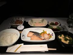 -全日本空输株式会社(上海办事处)