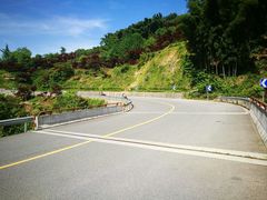 -四明山国家森林公园