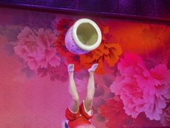 -盖碗儿梨园·变脸吐火·川剧(天府广场店)