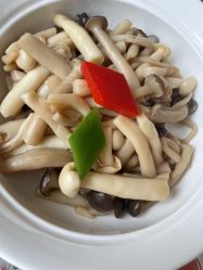 -金鹰国际月子中心(新街口店)