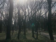 -玲珑塔公园