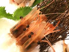 牡丹虾刺身-王鼎精致料理铁板烧(世博源店)