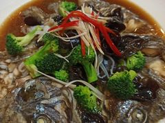 -同乐馆(阳光店)