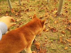 -瀛海足球主题公园