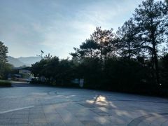 -九龙江国家森林公园