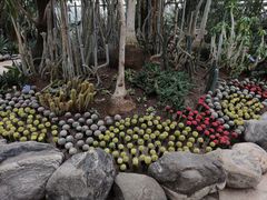 -南山植物园