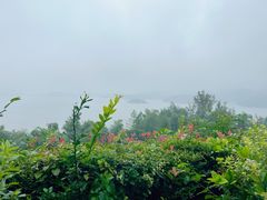 -天目湖涵田半山温泉