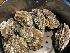 -蚝英雄鲜蚝自助专门店(长楹天街直营店)