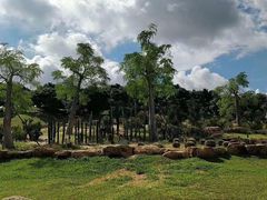 -东莞植物园