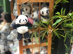 -轩客会(熊猫书店)